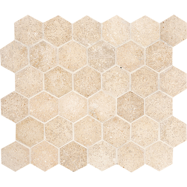 Seashell Hexagon