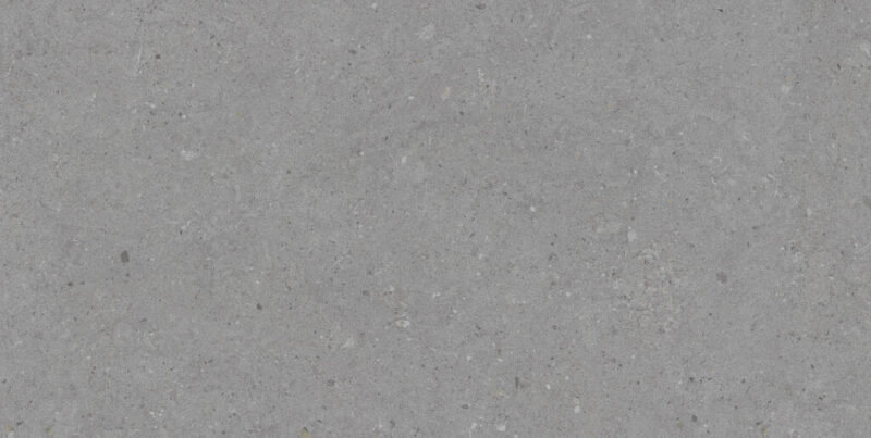 Ageless-Ageless Gris 12x36 Rectified