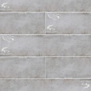 Antique-Antique Argento 2x10 Polished