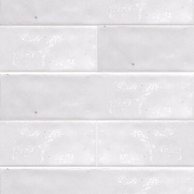 Antique-Antique Bianco 2x10 Polished