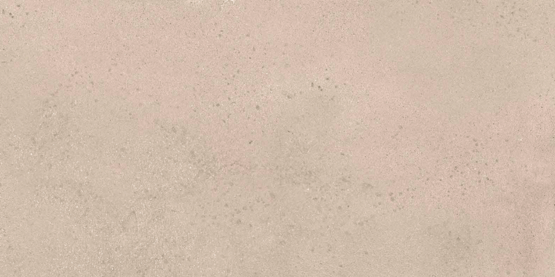 Baltic-Baltic Tan 24x48 Matte