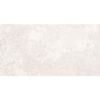 Blueslate-Blueslate White 24x48 Rectified
