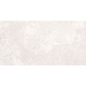 Blueslate-Blueslate White 24x48 Rectified