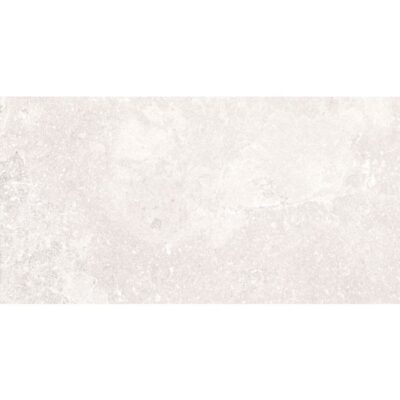 Blueslate-Blueslate White 24x48 Rectified