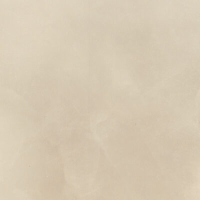 Cosmix-Coxmix Mars 24x48 Matte Rectified