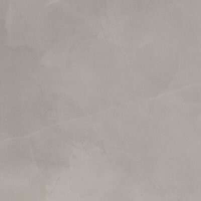 Cosmix-Coxmix Mercury 24x48 Matte Rectified