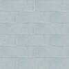 Country-Country Ash Blue 2.5x8 Polished
