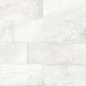 Forever-Forever Aurelia 12x24 Matte