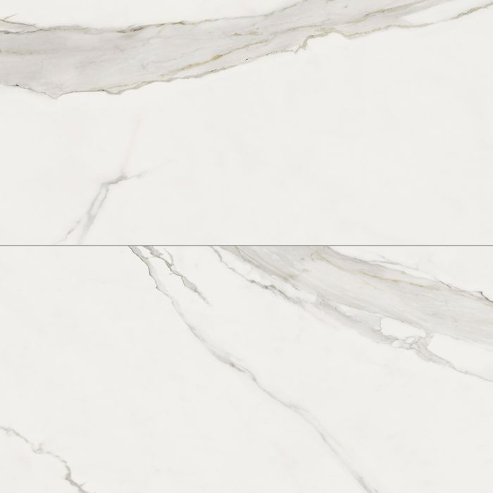 Gallery-Gallery Calacatta Gold 24x48 Matte