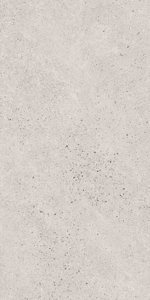 Link-Link Bolt 12x24 Matte Rectified