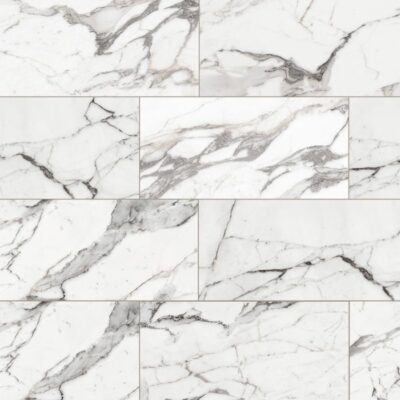 Masterpiece-Masterpiece Argente 12x24 Matte