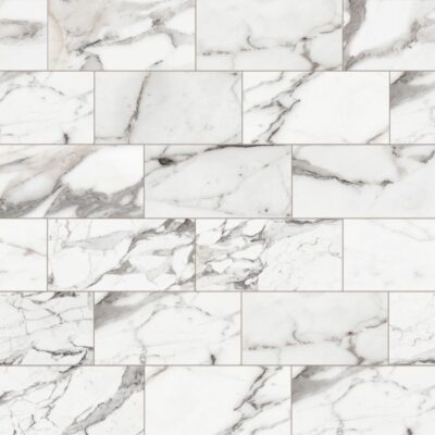 Masterpiece-Masterpiece Argente 12x24 Polished