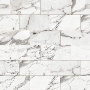 Masterpiece-Masterpiece Argente 6x12 Polished