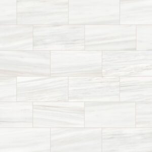 Masterpiece-Masterpiece Ombre 6x12 Polished