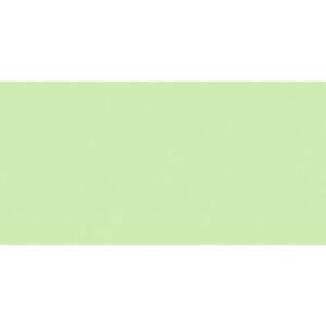 New Color-New Color Green Matte 12x24 Rectified