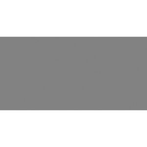 New Color-New Color Grey Polished 12x24 Rectified