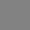 New Color-New Color Grey Matte 24x24 Rectified