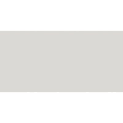 New Color-New Color White Polished 12x24 Rectified