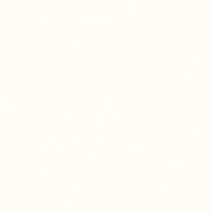 New Color-New Color White Matte 24x24 Rectified