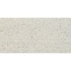 Oasis-Oasis Bone 12x24 Rectified