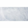 Onix-Onix Blue 24x48 Rectified