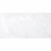 Onix-Onix White 24x48 Rectified
