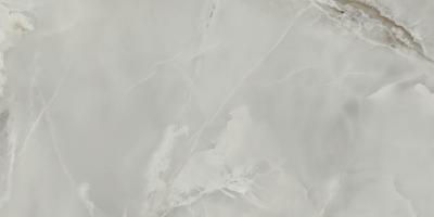 Onyx SRS-Onyx SRS Dark Gray 24x48 Polished Rectified