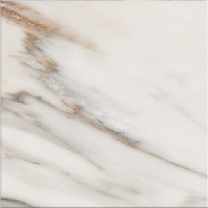 Puro-Puro Calacatta 10x10 Matte