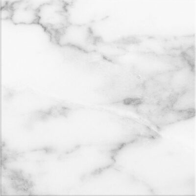 Puro-Puro Statuario 10x10 Matte