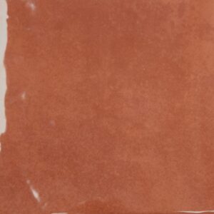 Seville-Seville Coral 5x5 Polished