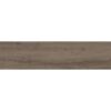 Tandem-Tandem Taupe 12x48