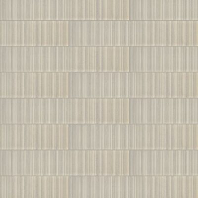 Tatami-Tatami 2x9 Beige Polished