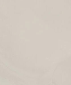 Waves-Waves Malibu 6x24 Matte Rectified