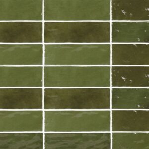 Zellige-Zellige Botanical Green 2.5X8 Polished