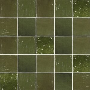 Zellige-Zellige Botanical Green 5x5 Polished