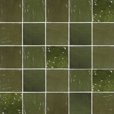 Zellige-Zellige Botanical Green 5x5 Polished