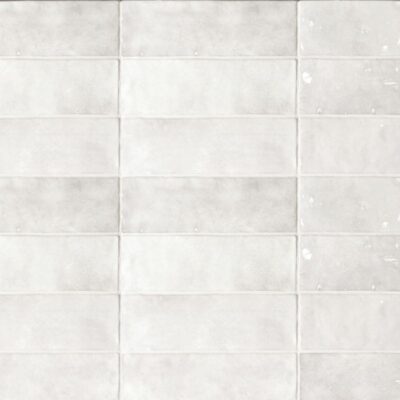 Zellige-Zellige Botanical Gris Nuage 2.5X8 Polished