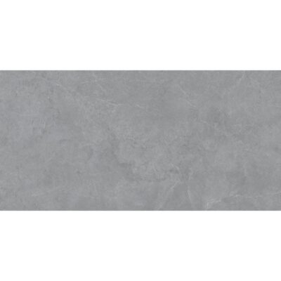 Arkipro Carbone 24x48 Matte Rectified