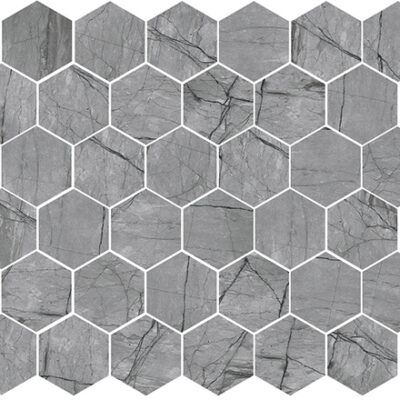 Amazon Coal 2" Hexagon Matte Rectified