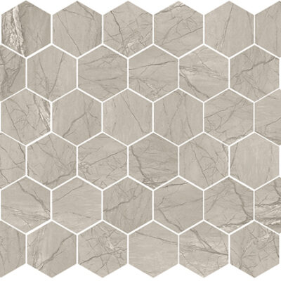 Amazon Taupe 2" Hexagon Matte Rectified