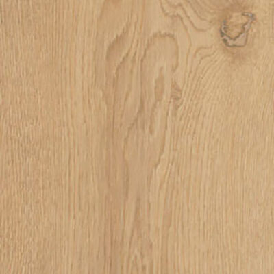 Lynx Nut 8x48 Matte Rectified