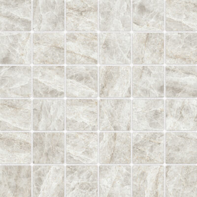 Magari Taj Mahal 2x2 Matte Rectified