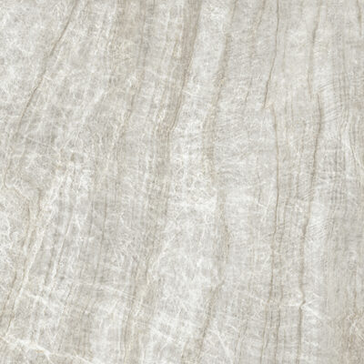 Magari Taj Mahal 48x48 Matte Rectified