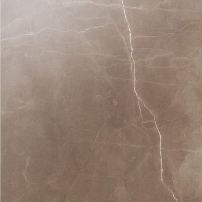 Splendor Amani Bronze 12x12 Polished Rectified