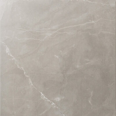Splendor Amani Grey 12x24 Polished Rectified