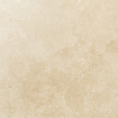 Splendor Marfil 12x24 Polished Rectified