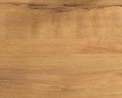 Classic Oak
