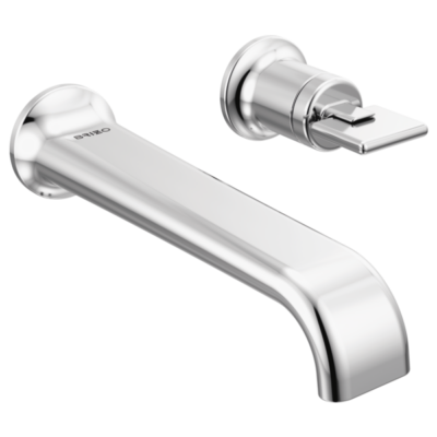 Polished Chrome
