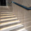 BRIGHT2BONXY2B22.webp