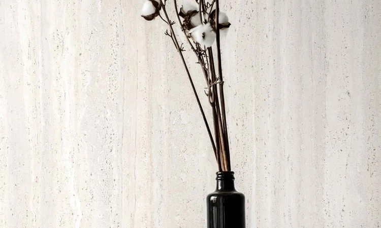 Ivory2Btravertine2Bphoto.webp